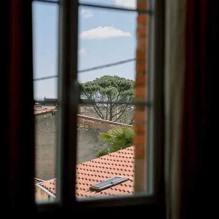 L'oasis - Charme Et Confort Au Centre-ville * 阿尔比