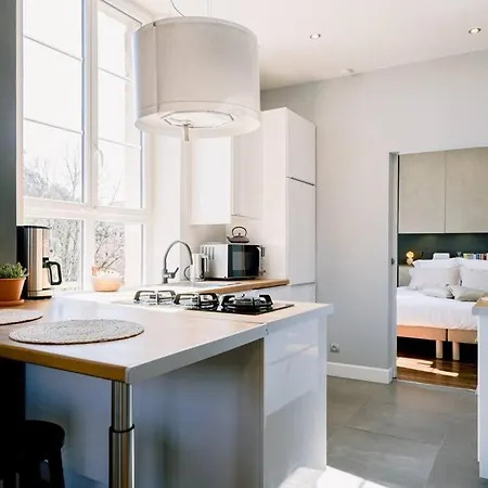 Apartament L'oasis - Charme Et Confort Au Centre-ville *