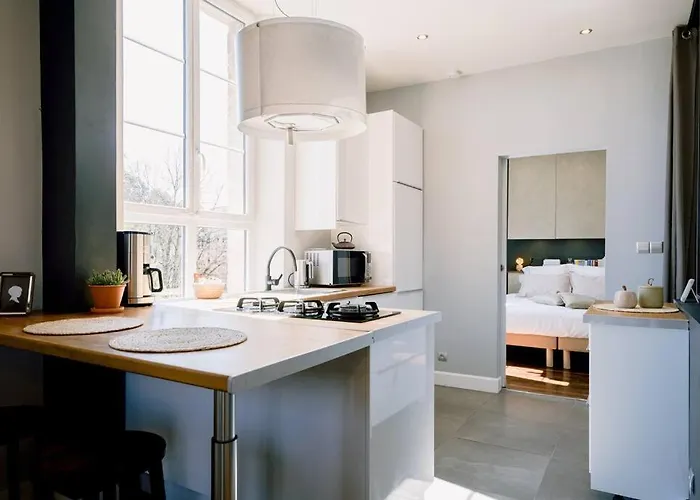 Apartment L'oasis - Charme Et Confort Au Centre-ville *