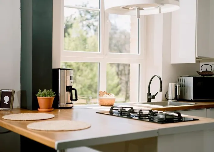 L'oasis - Charme Et Confort Au Centre-ville Apartment Albi