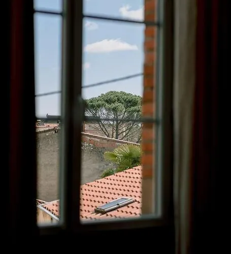 L'oasis - Charme Et Confort Au Centre-ville * Albi